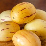 Muda de Melão-andino - Solanum muricatum